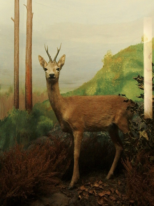 tl_files/images_preis/Petschauer3_m.jpg tl_files/images_preis/Petschauer3_m.jpg